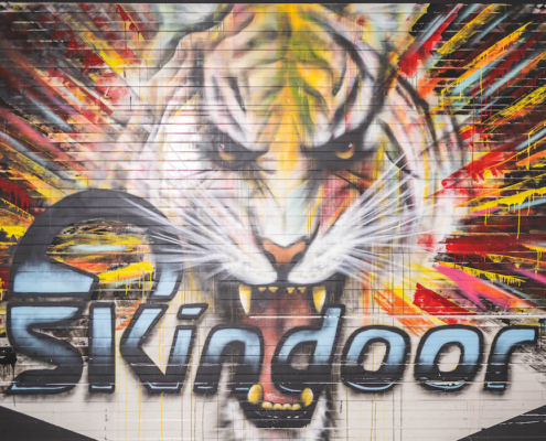 Skindoor Logo Tiger